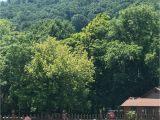 Walland Tennessee Map Whispering River Resort Updated 2019 Prices Campground Reviews