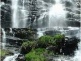 Waterfalls In Georgia Map 40 Best Amicalola Falls Images On Pinterest Amicalola Falls