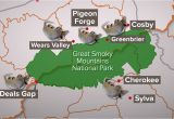 Wears Valley Tennessee Map Armadillos Spread In East Tn Surround Smokies Wbir Com