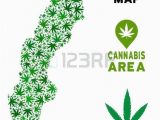 Weed Map Colorado Weed Leaf Template Hetero Co