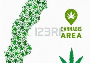 Weed Map Colorado Weed Leaf Template Hetero Co