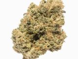 Weed Maps Colorado Skunkmasters Port Hueneme Ca Marijuana Dispensary Weedmaps
