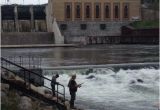 Wellston Michigan Map Tippy Dam Road Campgrounds Updated 2018 Campground Reviews