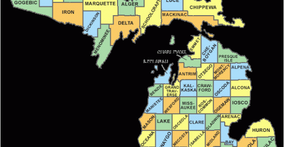 West Michigan County Map Michigan County Codes