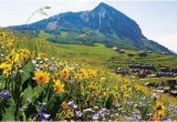 Where is Crested butte Colorado On the Map Crested butte Colorado Map Lovely the top 10 Things to Do Near the