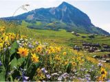 Where is Crested butte Colorado On the Map Crested butte Colorado Map Lovely the top 10 Things to Do Near the