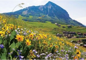 Where is Crested butte Colorado On the Map Crested butte Colorado Map Lovely the top 10 Things to Do Near the