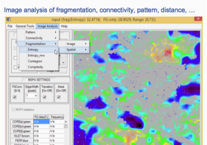 Will Google Maps Work In Europe forest