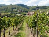 Wineries In Tuscany Italy Map Chianti Italy Travel Guide to Chianti Wine Region In Tuscany Italy