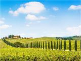 Wineries In Tuscany Italy Map Fun In Tuscany Chianti Wine tour 7 5 Hours Tuscany In 2019