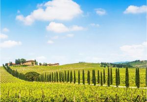 Wineries In Tuscany Italy Map Fun In Tuscany Chianti Wine tour 7 5 Hours Tuscany In 2019