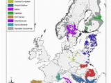 Wolves In Europe Map 39 Best Europe Albania Images In 2016 Europe Birds