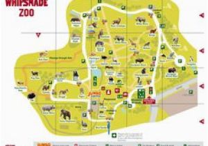 Zoo England Map 50 Best Zoo Maps Images In 2018 Zoo Map Parks the Zoo