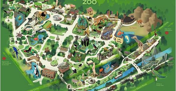 Zoo England Map London Zoo London Trip 2 Zoo Map Visual Map London Map