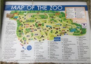 Zoo England Map Map Of the Zoo Picture Of Banham Zoo Banham Tripadvisor
