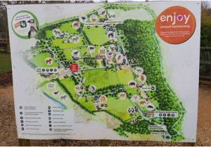 Zoo England Map Marwell Zoo Picture Of Marwell Zoo Winchester Tripadvisor