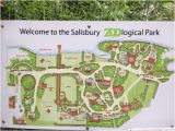 Zoo England Map Salisbury Zoo 2019 All You Need to Know before You Go