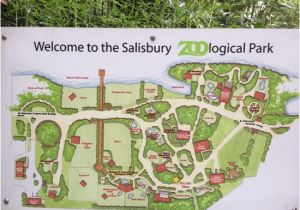 Zoo England Map Salisbury Zoo 2019 All You Need to Know before You Go