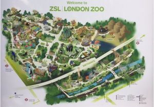 Zoo England Map Zsl London Zoo Aktuelle 2019 Lohnt Es Sich Mit Fotos