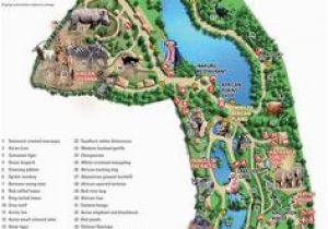 Zoos In England Map 50 Best Zoo Maps Images In 2018 Zoo Map Parks the Zoo