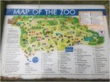Zoos In England Map Map Of the Zoo Picture Of Banham Zoo Tripadvisor