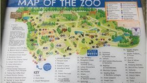 Zoos In England Map Map Of the Zoo Picture Of Banham Zoo Tripadvisor