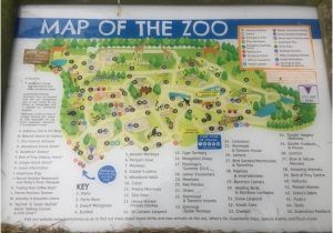 Zoos In England Map Map Of the Zoo Picture Of Banham Zoo Tripadvisor