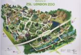Zoos In England Map Zsl London Zoo Aktuelle 2019 Lohnt Es Sich Mit Fotos